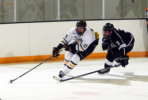 Adam Smyth of Gustavus Adolphus (Tim Brule)