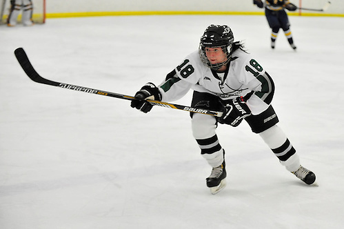 The Stevenson women's ice hockey team dominated the Neumann Knights Tuesday afternoon at the Reisterstown Sportsplex, as they took a 6-1 victory. (Sabina Moran/Stevenson Athletics)