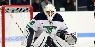 Freshman Goalie Kevin Aldridge of Endicott (Tim Brule)