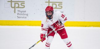 Wisconsin Badgers Annie Pankowski (19) handles the puck during an NCAA WCHA Conference women