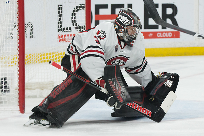 David Hrenak (SCSU-34) 2019 March 23 University of Minnesota Duluth and St. Cloud State University meet in the championship game of the NCHC  Frozen Face Off at the Xcel Energy Center in St. Paul, MN (Bradley K. Olson)