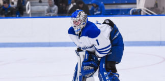 College hockey game picks, D-III East: February 28, 2020