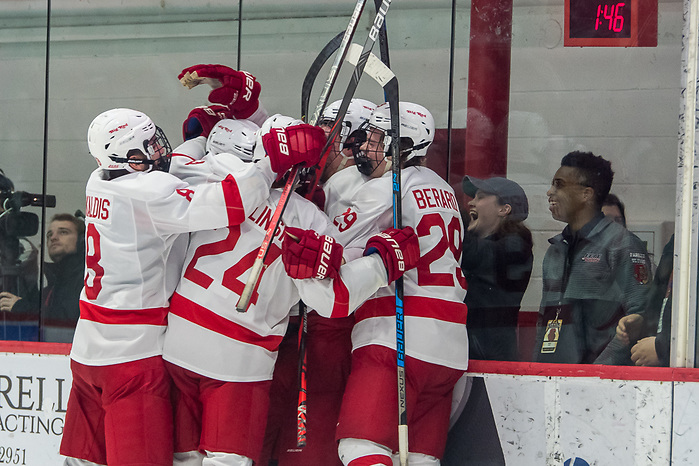 Cornell players celebrate the game tying goal with 1:46 to play in the third period against Harvard (2020 Omar Phillips)