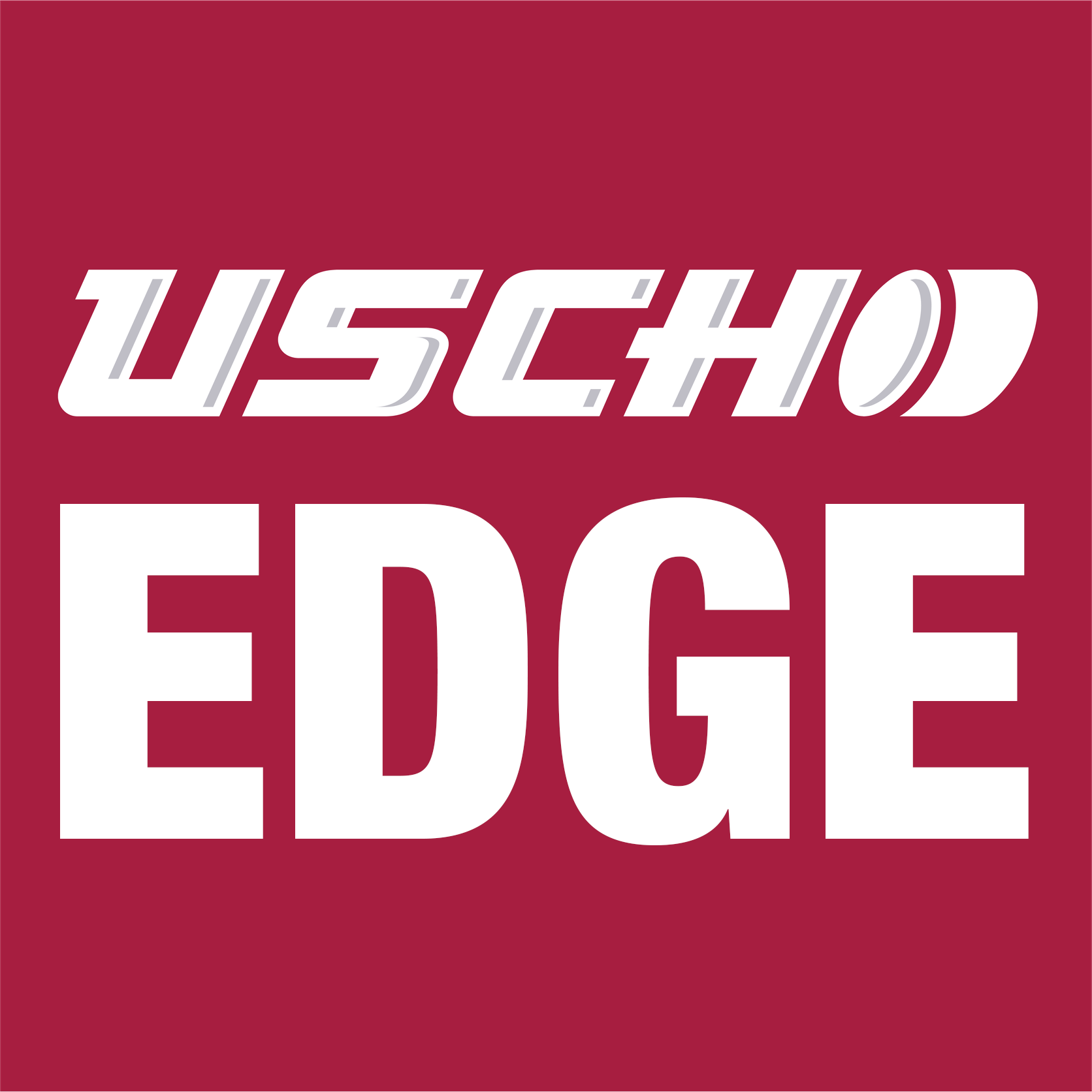 College hockey podcast AHA, Big Ten, CCHA, ECAC playoff odds